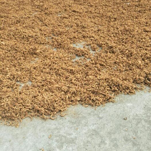 平南县普通桂皮
