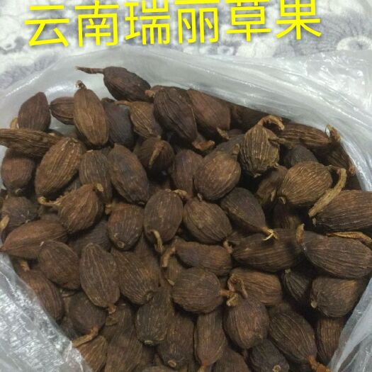 陇川县草果