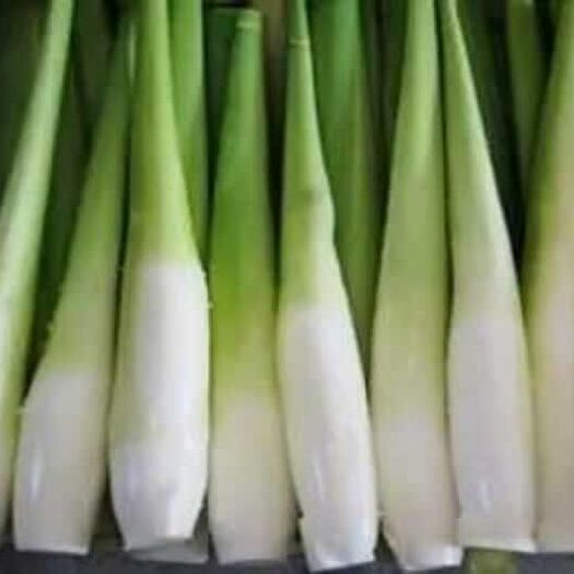 定南县茭白种苗  苗高、产量、成果口感等特