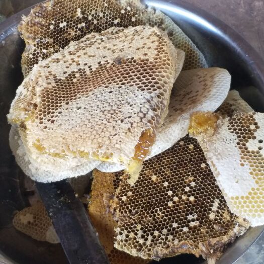 澜沧县 天然的土蜂蜜，深山蜂蜜，，不喂白糖1000g包邮