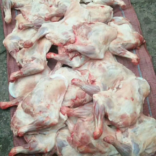 兰州羊腿肉 生肉