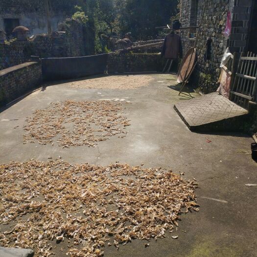 笋丝 散装 1年