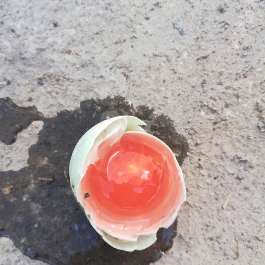 济南丹东鸭绿江咸鸭蛋 散装