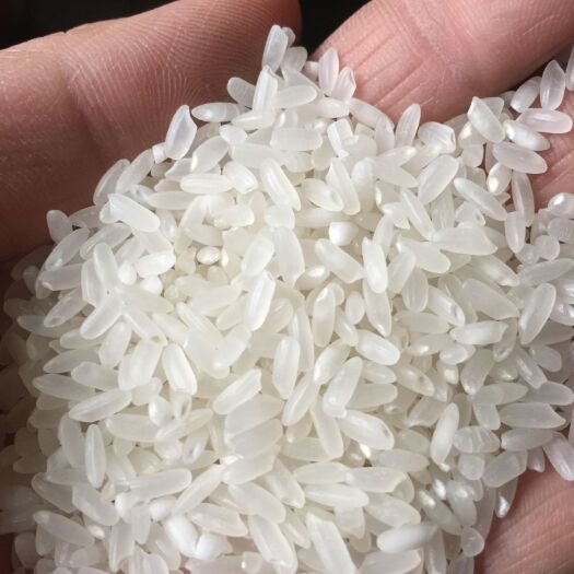密山市稻花香大米 一等品 一季稻 粳米