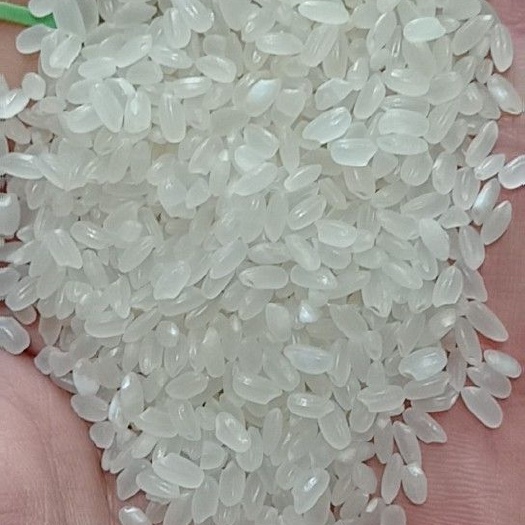 沈阳东北大米 一等品 晚稻 粳米