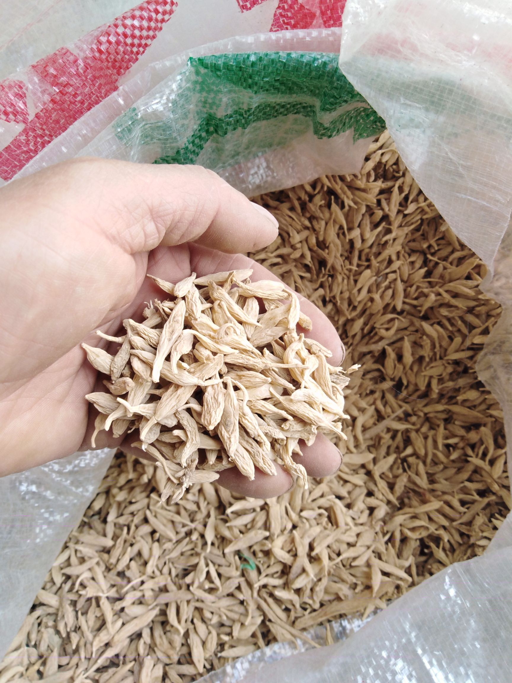 Ye生麦冬  自然生长，无硫生晒药性足，气味香浓 药食同用。