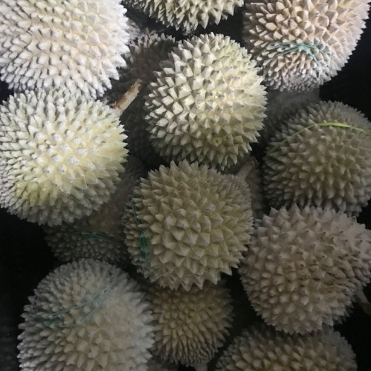 南京猫山王榴莲D197 2 - 3公斤 40 - 50%以上