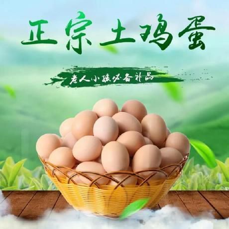 厦门土鸡蛋 食用 散装
