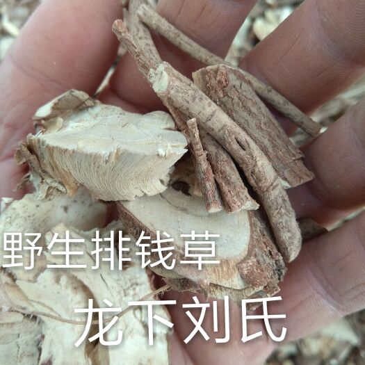 排钱草一串钱根干货500g