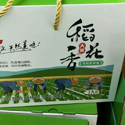 东北大米 一等品 一季稻 粳米