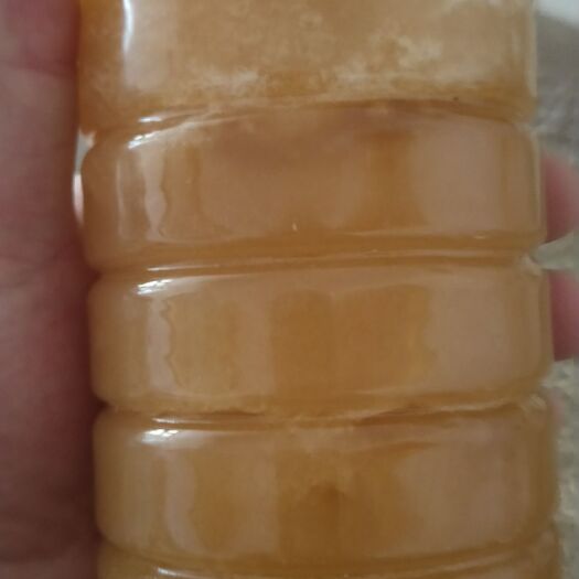 师宗县土蜂蜜 塑料瓶装 2年以上 