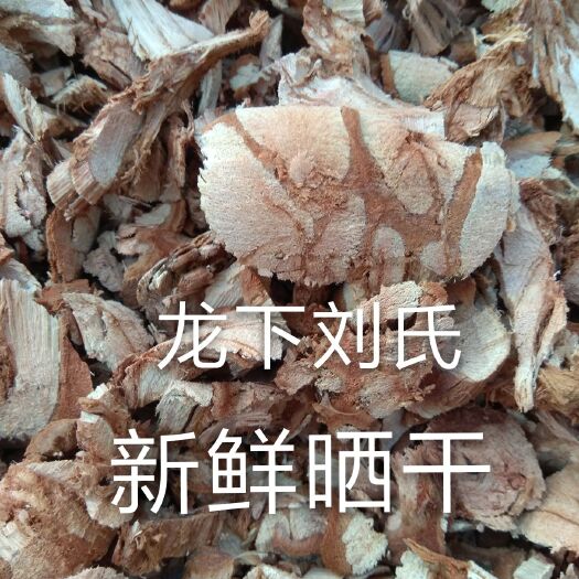 九龙藤