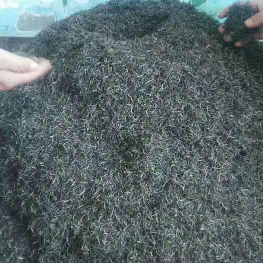 紫阳县紫阳富硒茶 一级 散装