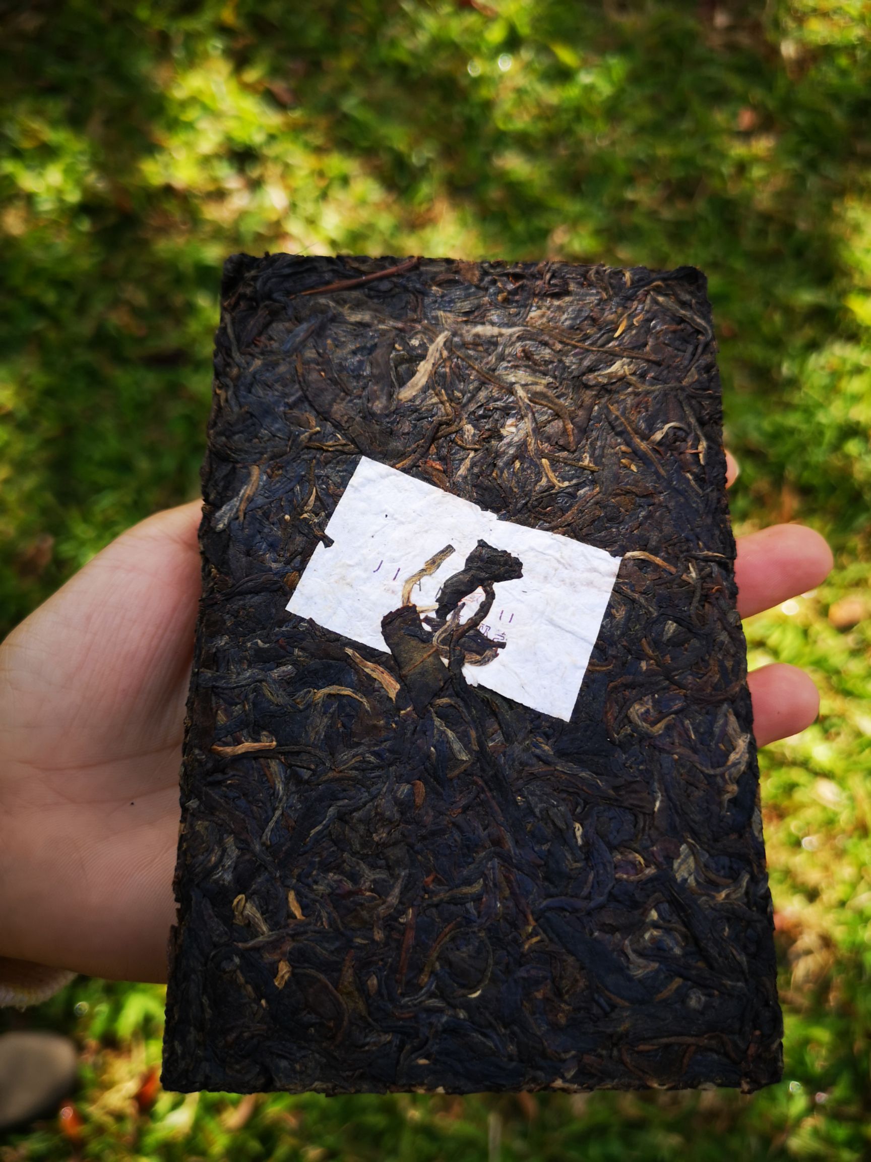  普洱镇沅笋山茶砖