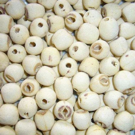 鄂州磨皮白莲 一级 95%以上