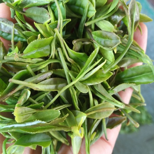 日照日照绿茶 一级 盒装