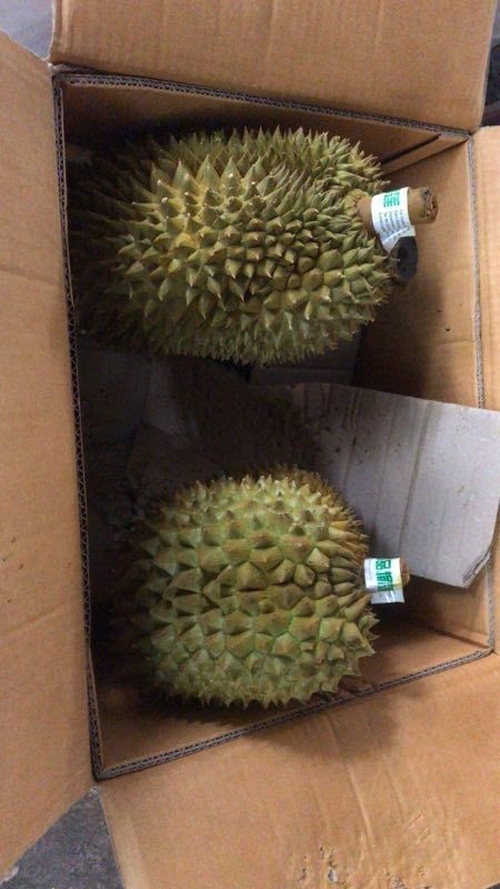景洪市泰国榴莲 2 - 3公斤 80 - 90%以上