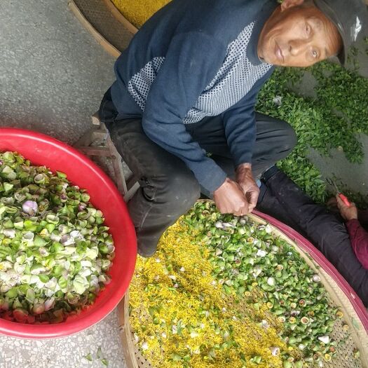 单县牡丹花蕊茶 特级 袋装