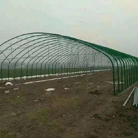 天津钢管大棚