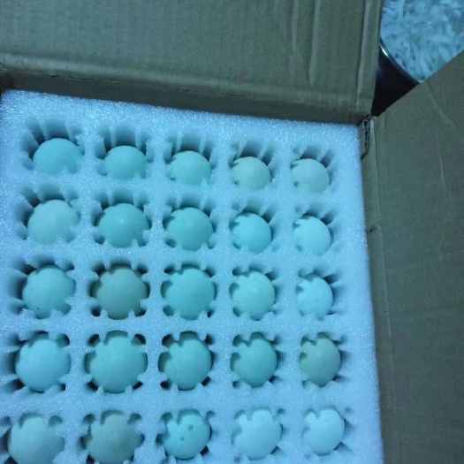 翼城县乌鸡蛋 食用 箱装