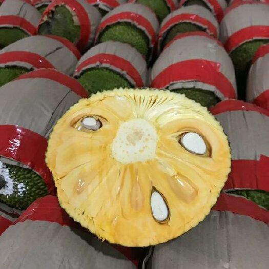 凭祥市红肉菠萝蜜 15斤以上