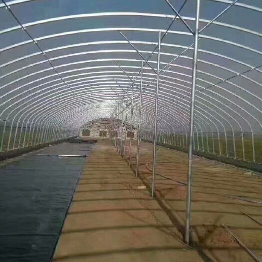 天津温室大棚椭圆管骨架