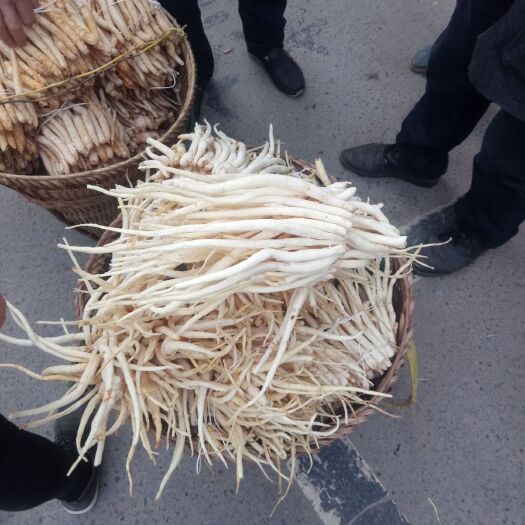 巴中中草药
