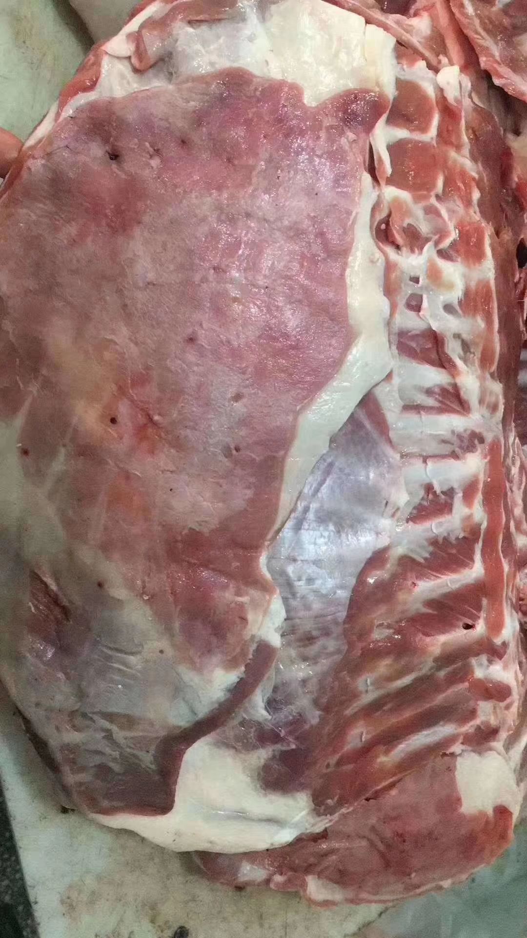 阳信县烧烤专用羔羊羊排，烧烤专用产品，工厂每天大量出货