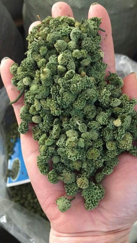 建水县三七花