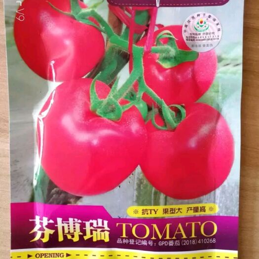 硬粉番茄种子  ≥99.9% 杂交种 ≥97% 抗病毒病，疫病，霜霉病，炭疽病