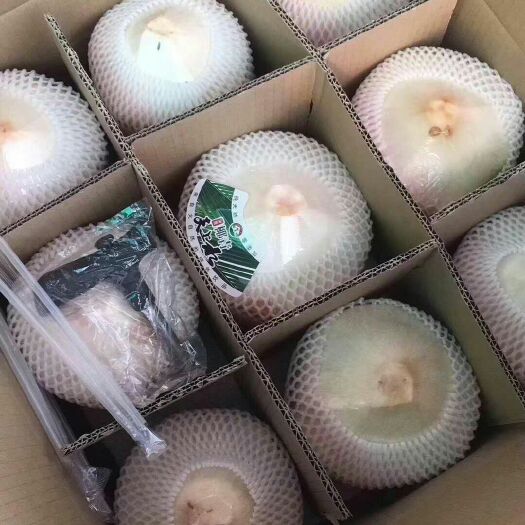 文昌椰青  2.5 - 3斤 有开椰器和吸管的