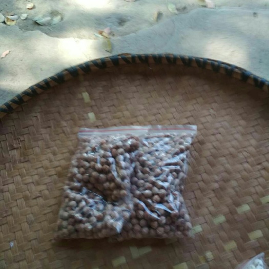 武汉红莲子 特级 1