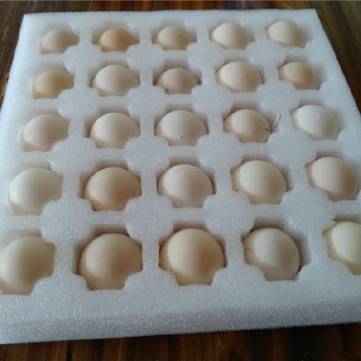 元氏县笨鸡蛋 食用 箱装
