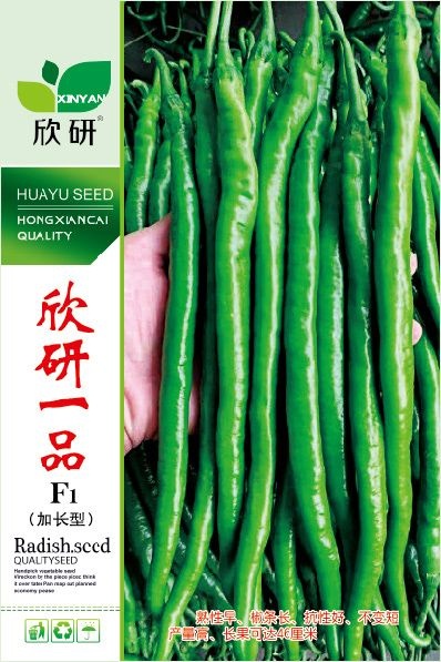 青县线椒种子  杂交种 ≥85% 粒尔田欣研一品(加长型)线椒种