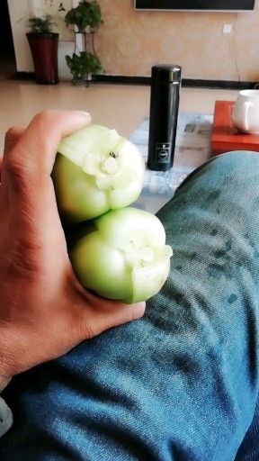保定华冠青梗菜 2~3两