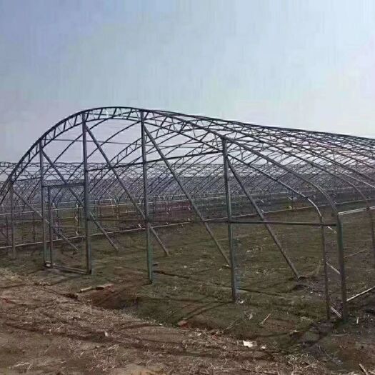 天津钢管大棚