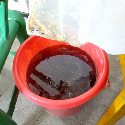 长阳县土蜂蜜 塑料瓶装 1年  