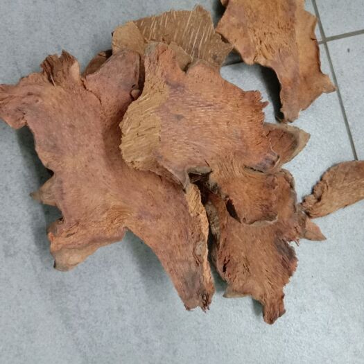 菝葜  拔契，金刚藤，红萆薢