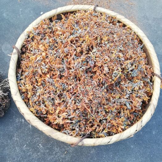 宁远县羊踯躅  ，六轴子，根，