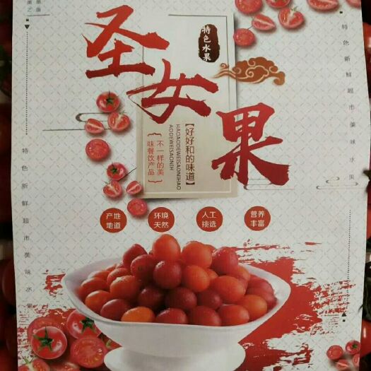 莘县千禧圣女果