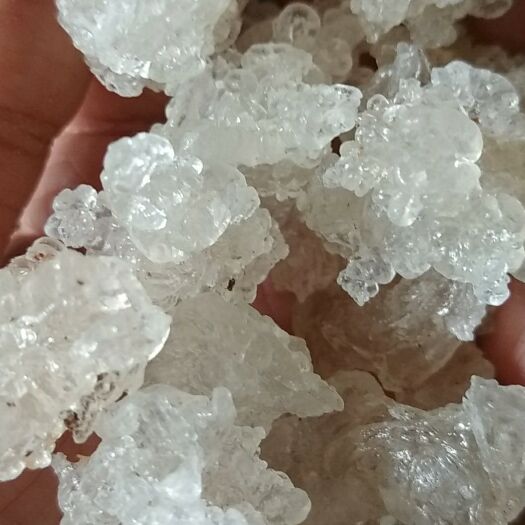 成都雪燕  过筛分选