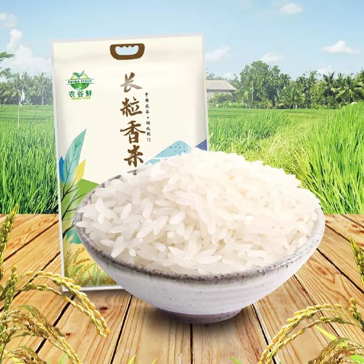 荆门长粒香大米 一等品 晚稻 粳米