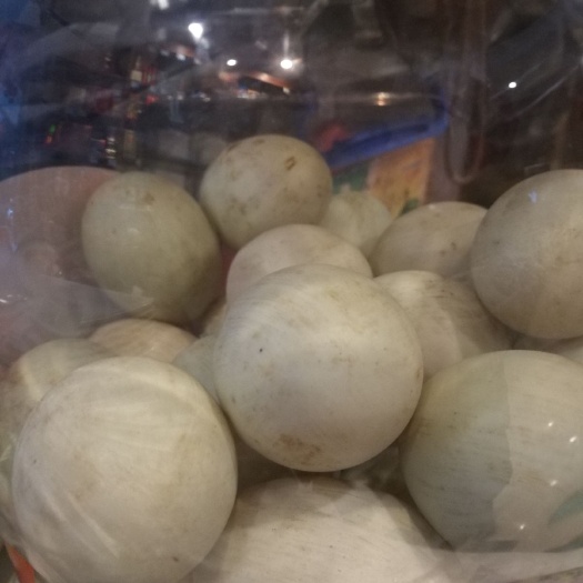 百色土鸭蛋 食用 礼盒装