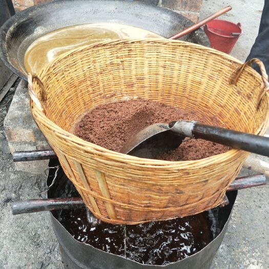 百色野生山茶油