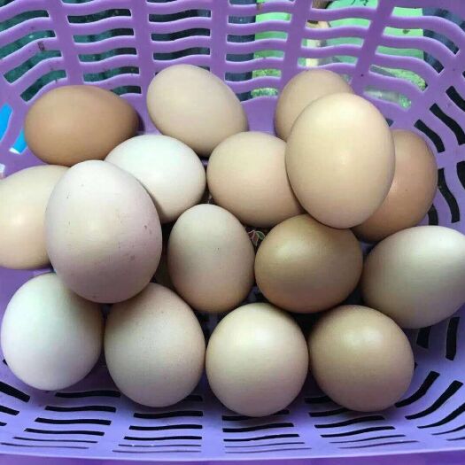 仁化县土鸡蛋 食用 简包装