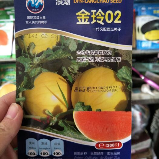 沭阳县金玲西瓜种子 亲本（大田用种） ≥85%