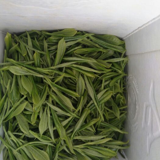 北川县绿茶  高山纯手工茶叶    一芽一叶