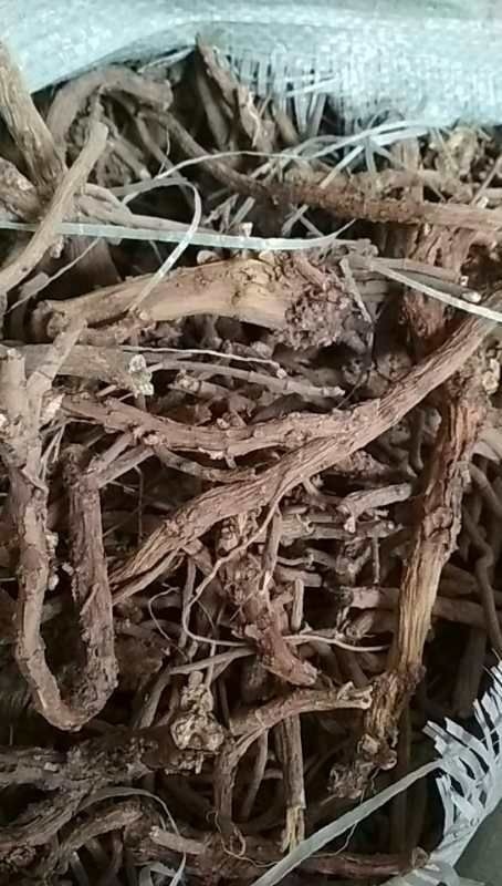 芮城县黄芩