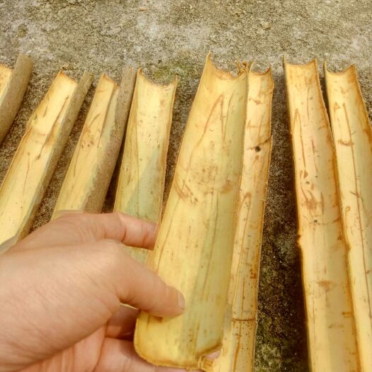 罗定市肉桂