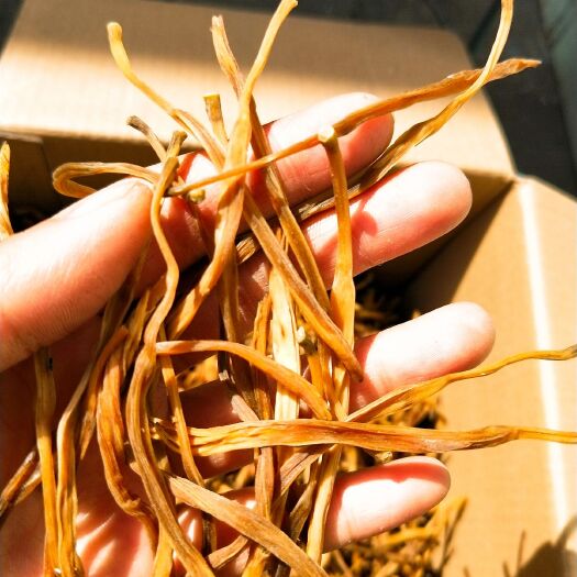 富平县干黄花菜 6-12个月